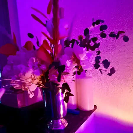 Bulle De Bien Etre Au Rendez Vous Pexiora